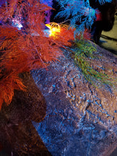 Load image into Gallery viewer, Package - Under the Sea