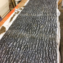 Load image into Gallery viewer, Oak Tree Skin