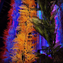 Load image into Gallery viewer, Package - Under the Sea