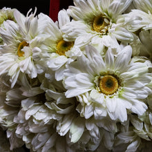 Load image into Gallery viewer, Silks