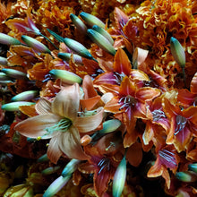 Load image into Gallery viewer, Silks