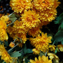 Load image into Gallery viewer, Silks