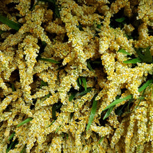 Load image into Gallery viewer, Silks