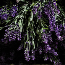 Load image into Gallery viewer, Silks