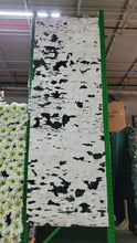 Load image into Gallery viewer, Birch Tree Skin 111" x 37"
