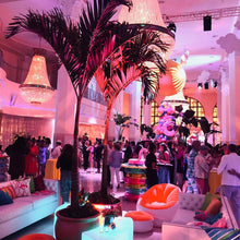 Load image into Gallery viewer, Adonidia Palm 8-9'