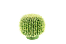 Load image into Gallery viewer, Barrel Cactus