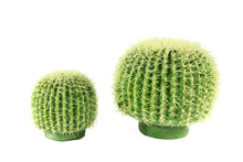 Load image into Gallery viewer, Barrel Cactus