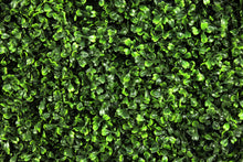 Load image into Gallery viewer, Boxwood Panels or Walls
