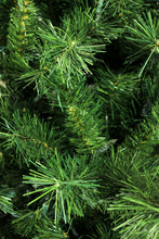 Load image into Gallery viewer, Christmas Trees