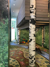 Load image into Gallery viewer, Birch Tree Skin 111" x 37"