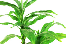 Load image into Gallery viewer, Artificial Dracaena 3'