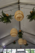 Load image into Gallery viewer, Boston Fern