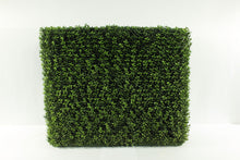 Load image into Gallery viewer, Package - Oktoberfest/Tailgate