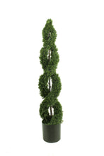 Load image into Gallery viewer, Double Spiral Evergreen Topiary