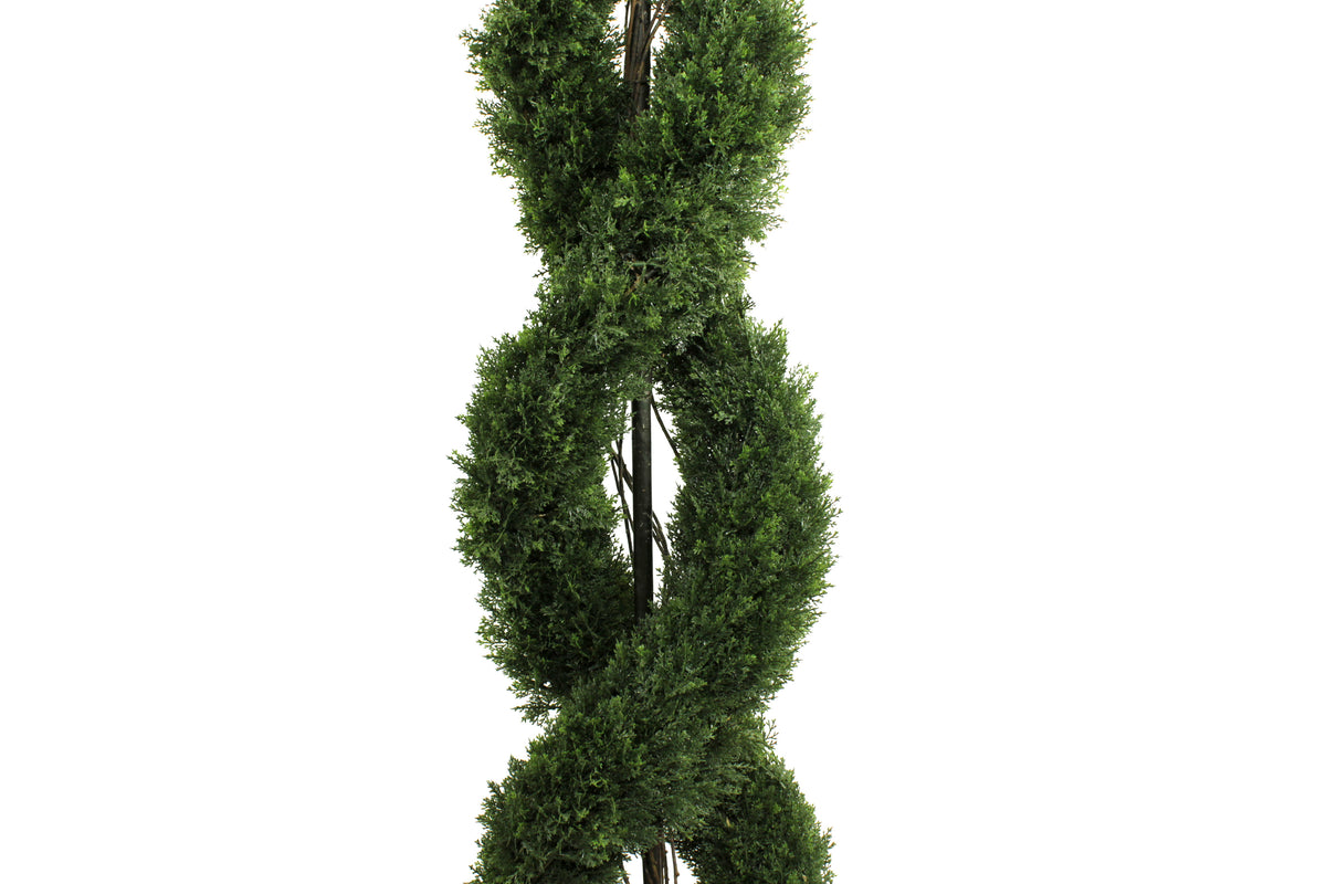 Double Spiral Evergreen Topiary Cinema Greens