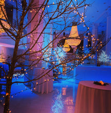 Load image into Gallery viewer, Christmas Decorations
