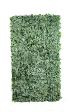 Load image into Gallery viewer, Fittonia Panels or Walls