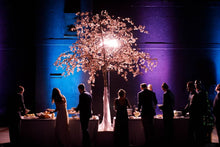 Load image into Gallery viewer, Cherry Blossom Trees