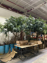 Load image into Gallery viewer, Ruscus Tree