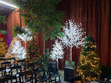 Load image into Gallery viewer, Cool Lit Snow Balls