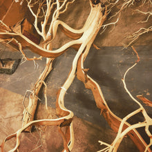 Load image into Gallery viewer, Manzanita 10-11'