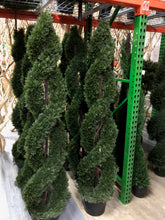 Load image into Gallery viewer, Package - Oktoberfest/Tailgate