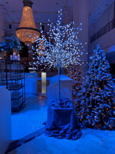Load image into Gallery viewer, Christmas Decorations