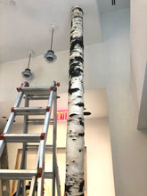 Load image into Gallery viewer, Birch Tree Skin 111" x 37"