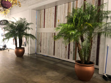 Load image into Gallery viewer, Package - Great Gatsby