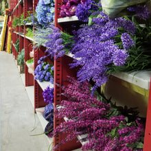 Load image into Gallery viewer, Silks