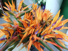 Load image into Gallery viewer, Silks