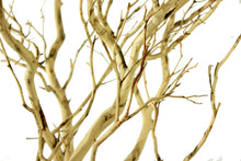 Load image into Gallery viewer, Manzanita 5-6'