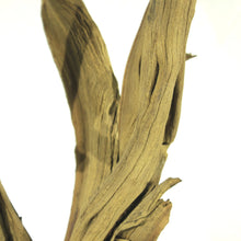 Load image into Gallery viewer, Ghostwood Sandblasted