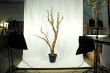 Load image into Gallery viewer, Ghostwood Sandblasted