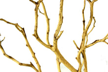 Load image into Gallery viewer, Manzanita 3-4'