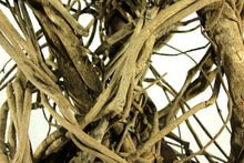 Load image into Gallery viewer, Wedding Canopy Camphor Vine Poles