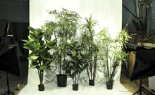 Load image into Gallery viewer, Tropical Plants - Assorted 6' Artificial