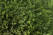 Load image into Gallery viewer, Evergreen Balls - 1.5'
