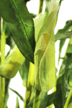 Load image into Gallery viewer, Cornstalks