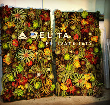 Load image into Gallery viewer, Succulent Wall