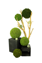 Load image into Gallery viewer, Moss Balls