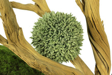 Load image into Gallery viewer, Moss Balls