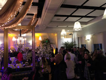 Load image into Gallery viewer, Package - Great Gatsby