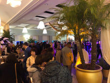 Load image into Gallery viewer, Package - Great Gatsby