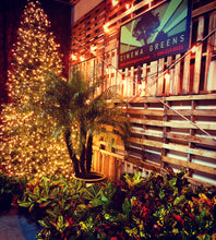 Load image into Gallery viewer, Christmas Trees