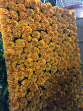 Load image into Gallery viewer, Package - Custom Photo Op