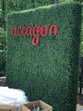 Load image into Gallery viewer, Package - Custom Photo Op