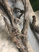 Load image into Gallery viewer, Ghostwood - Natural Shaggy