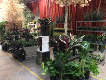 Load image into Gallery viewer, Warehouse Tour